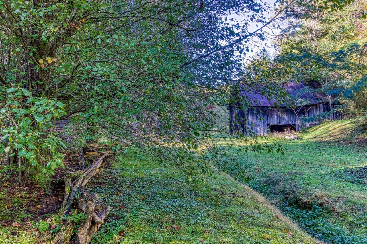 Cozy Creek Cabin 鸽子谷 外观 照片