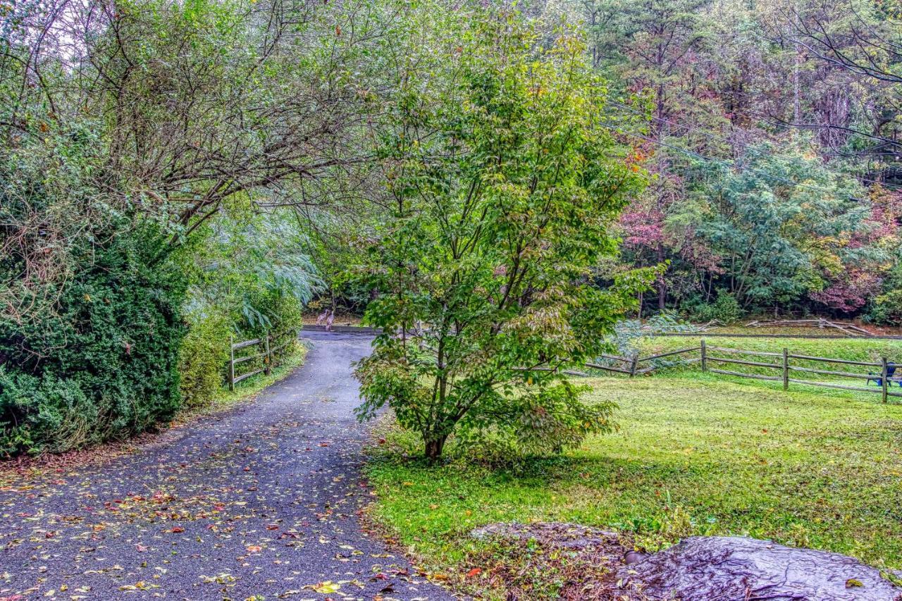 Cozy Creek Cabin 鸽子谷 外观 照片