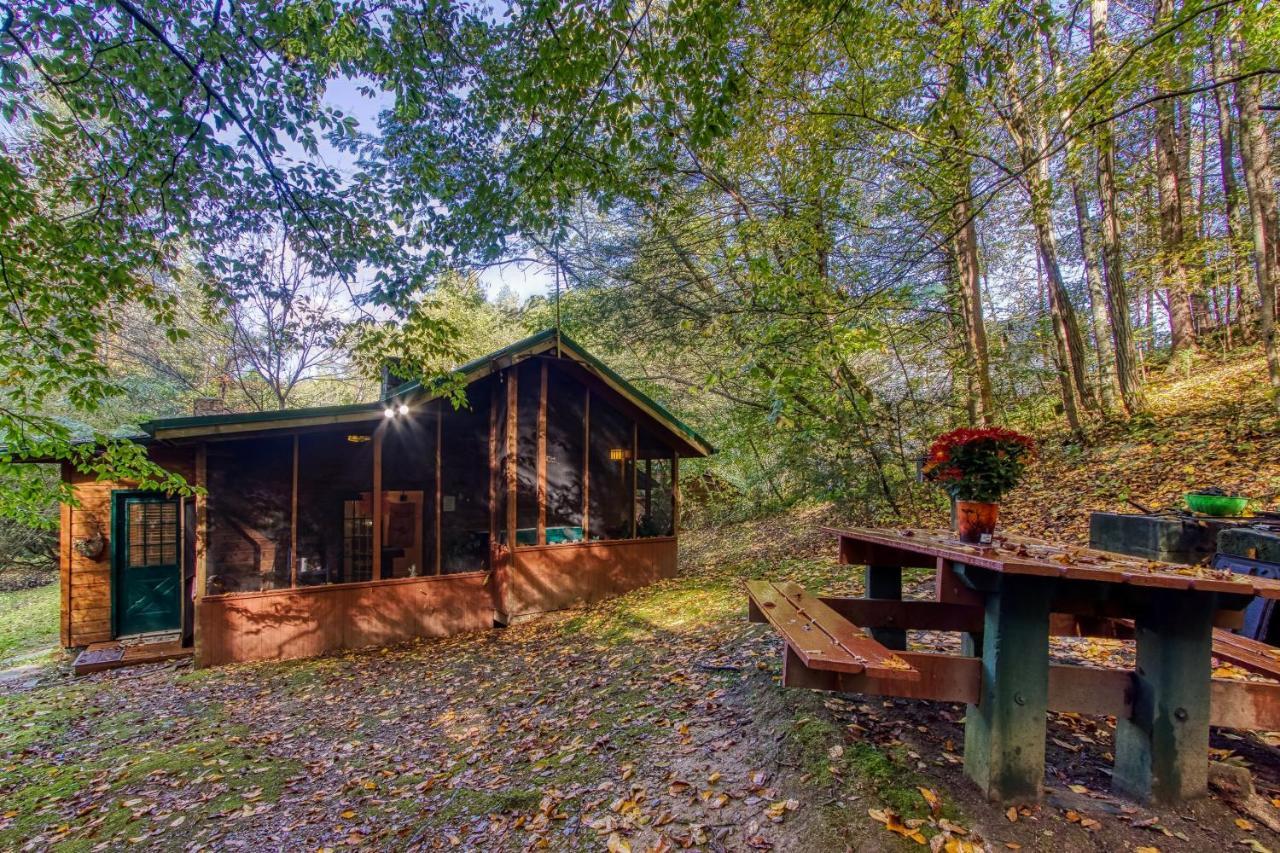 Cozy Creek Cabin 鸽子谷 外观 照片