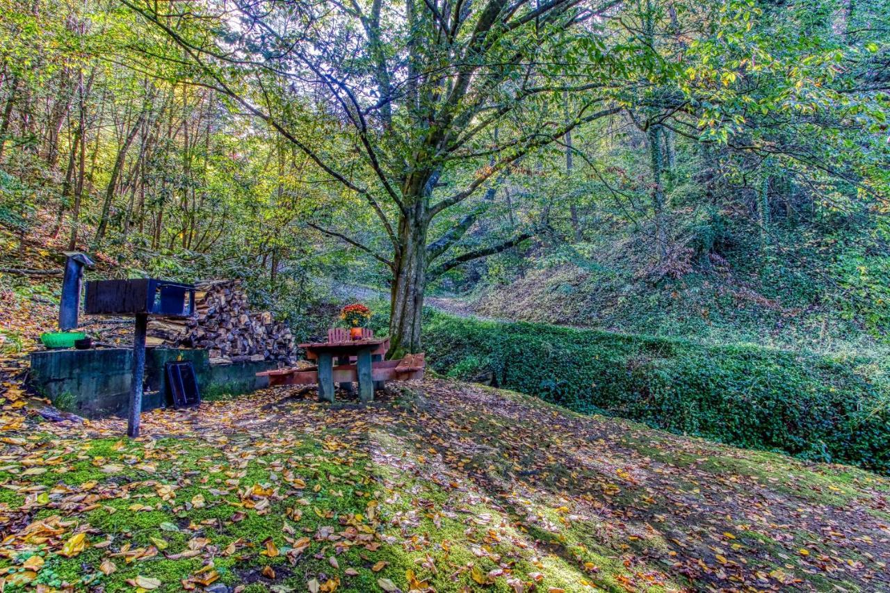 Cozy Creek Cabin 鸽子谷 外观 照片