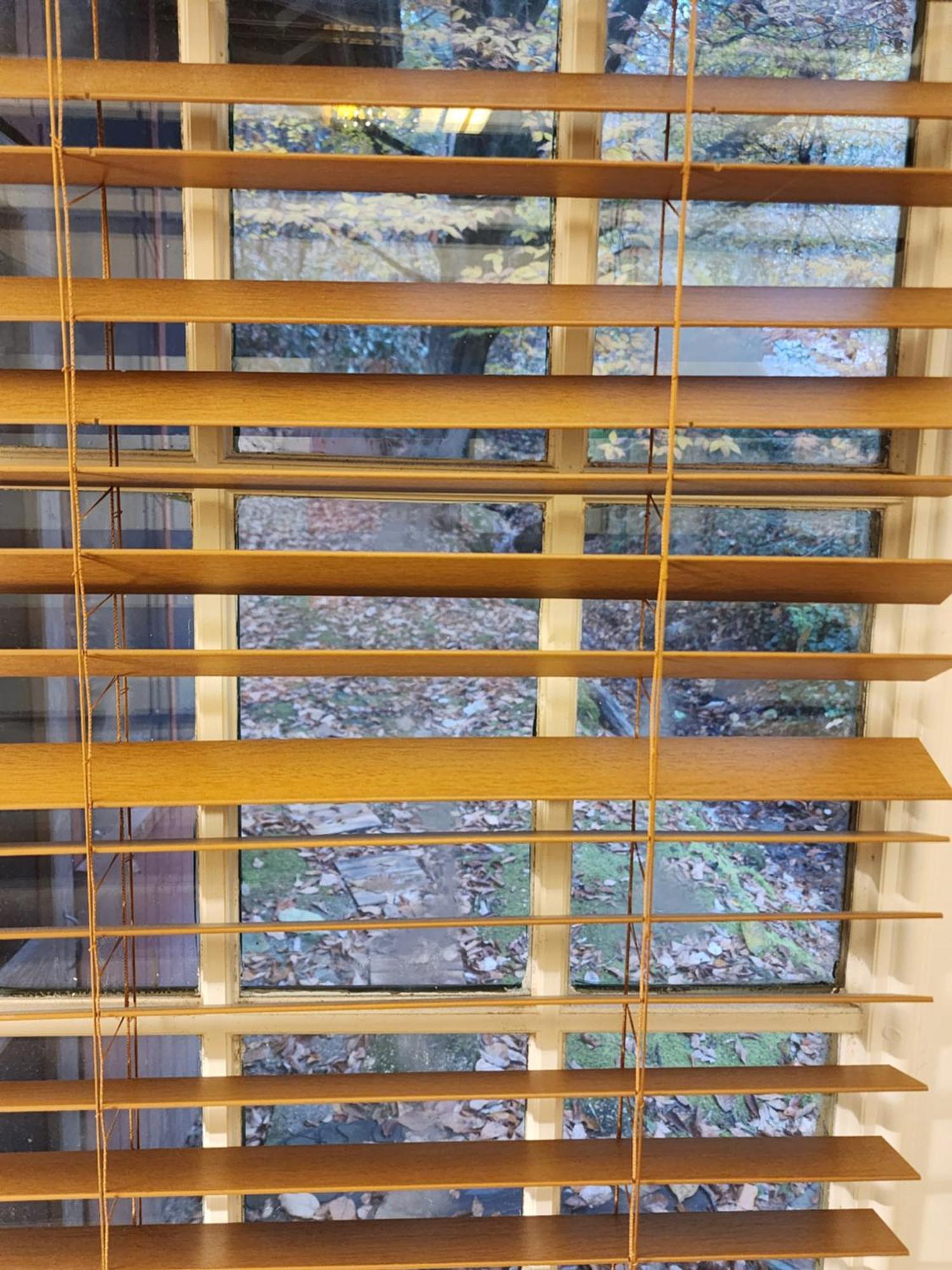 Cozy Creek Cabin 鸽子谷 外观 照片