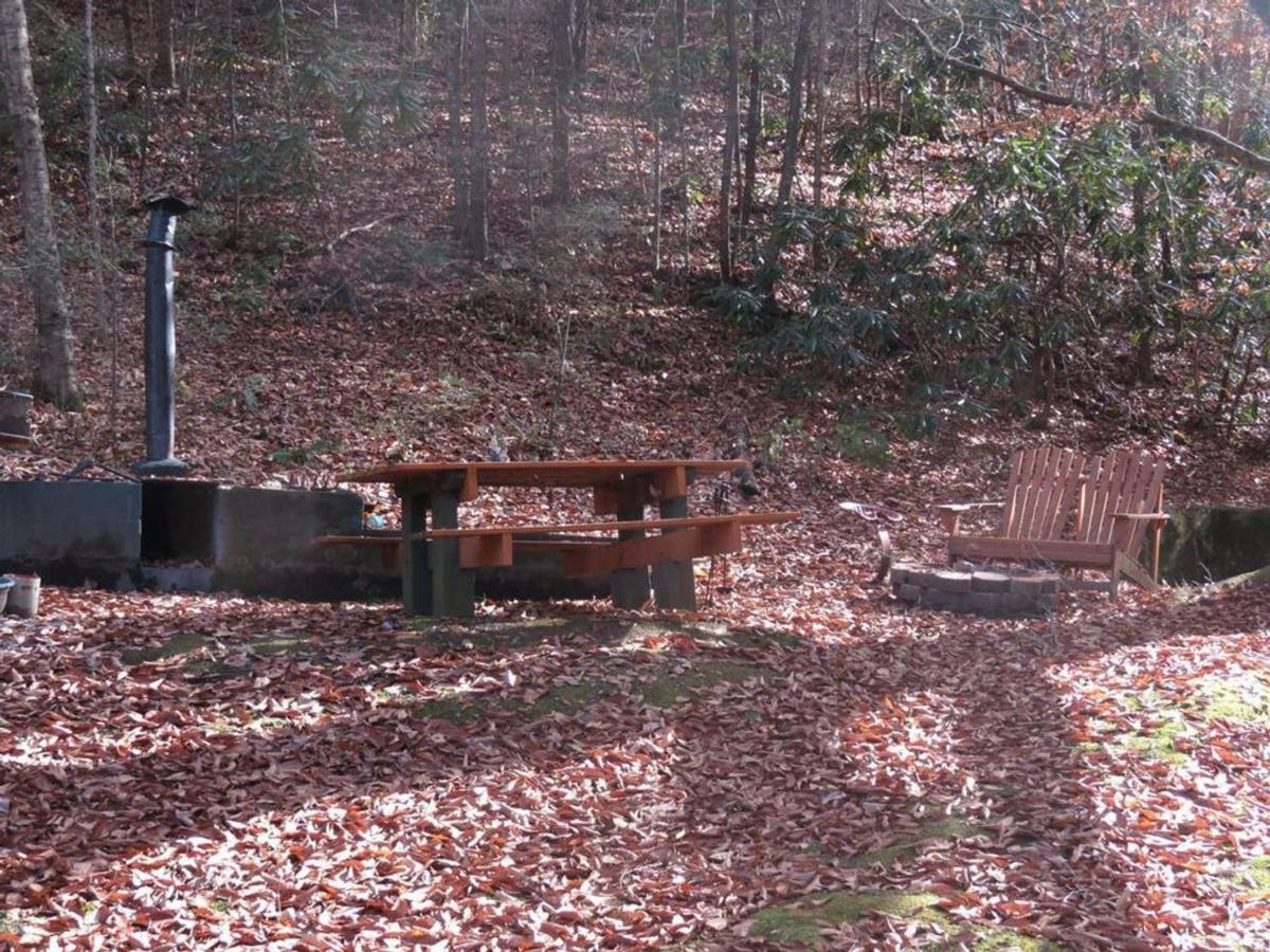 Cozy Creek Cabin 鸽子谷 外观 照片