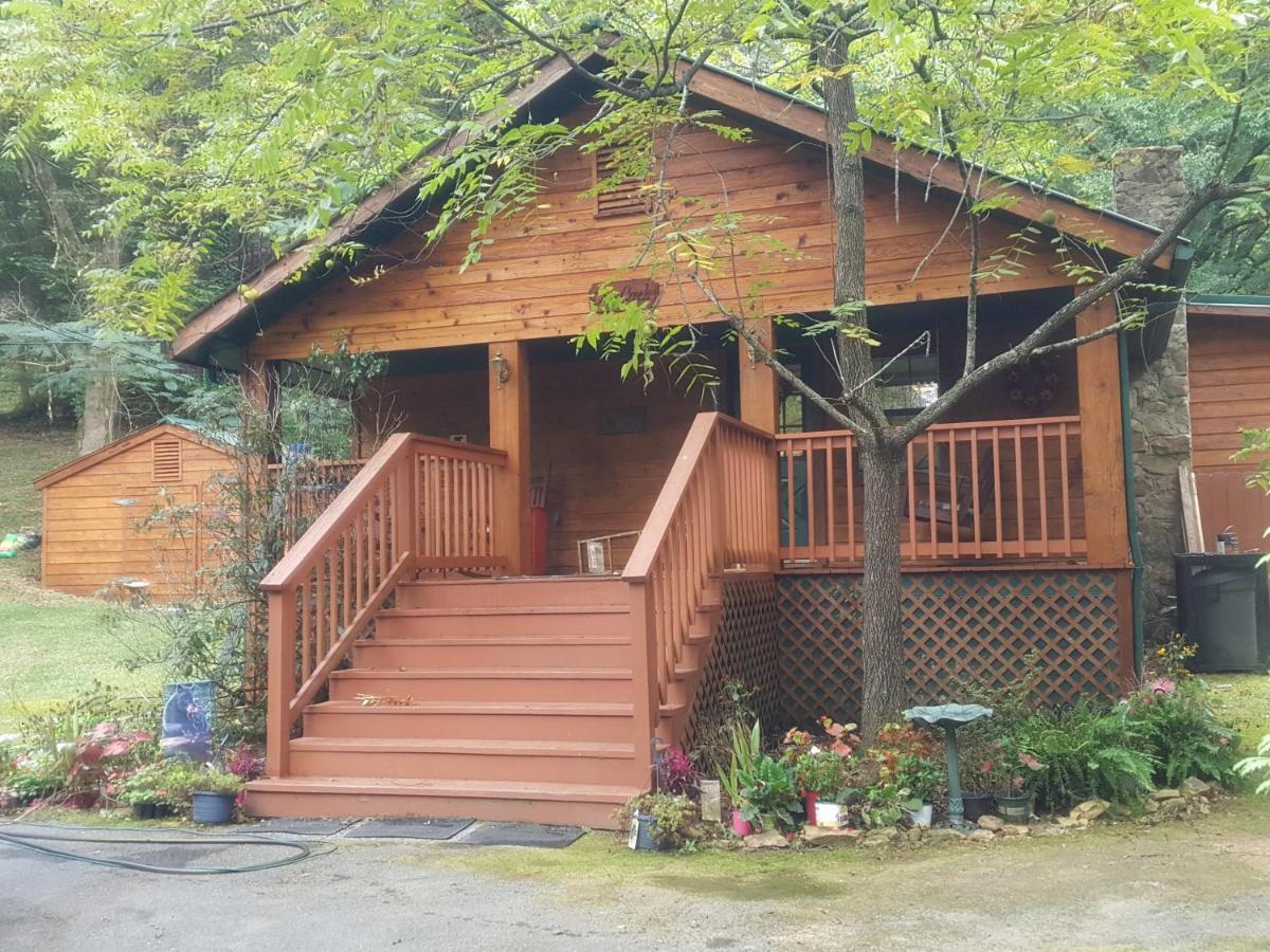 Cozy Creek Cabin 鸽子谷 外观 照片