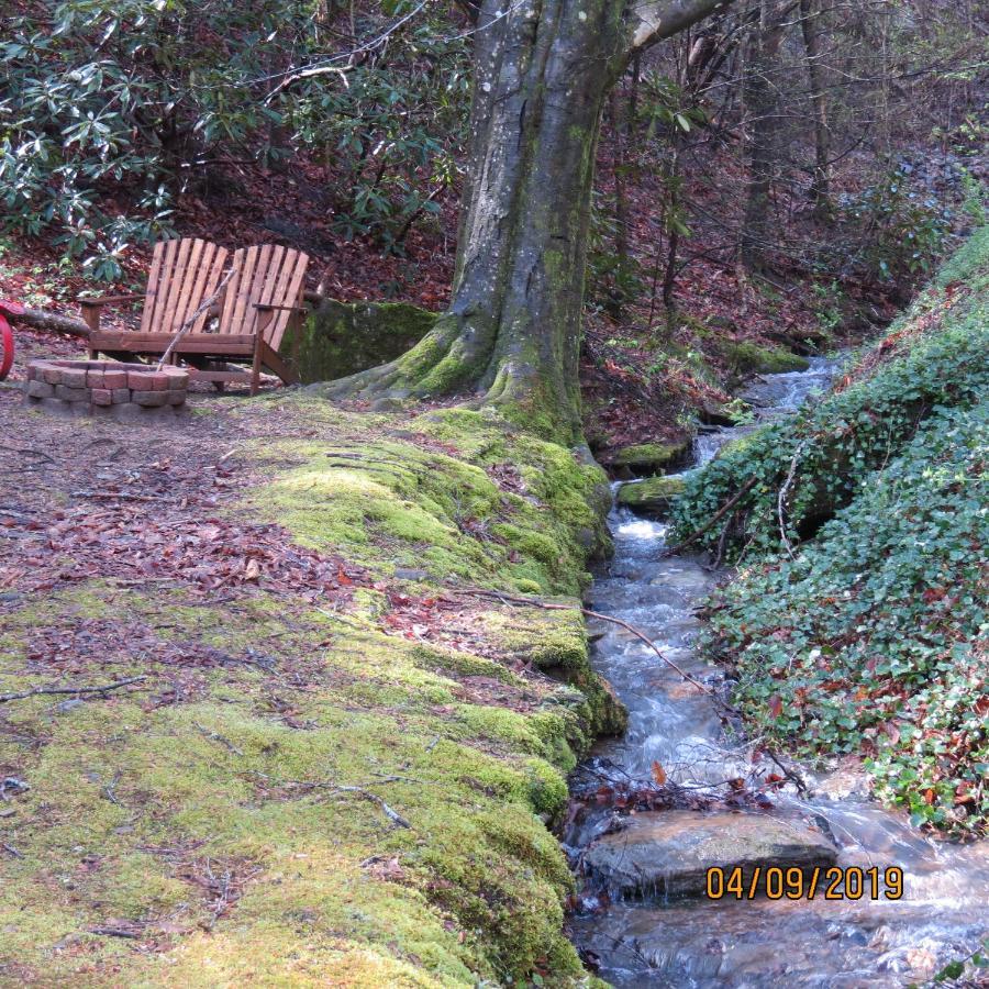 Cozy Creek Cabin 鸽子谷 外观 照片