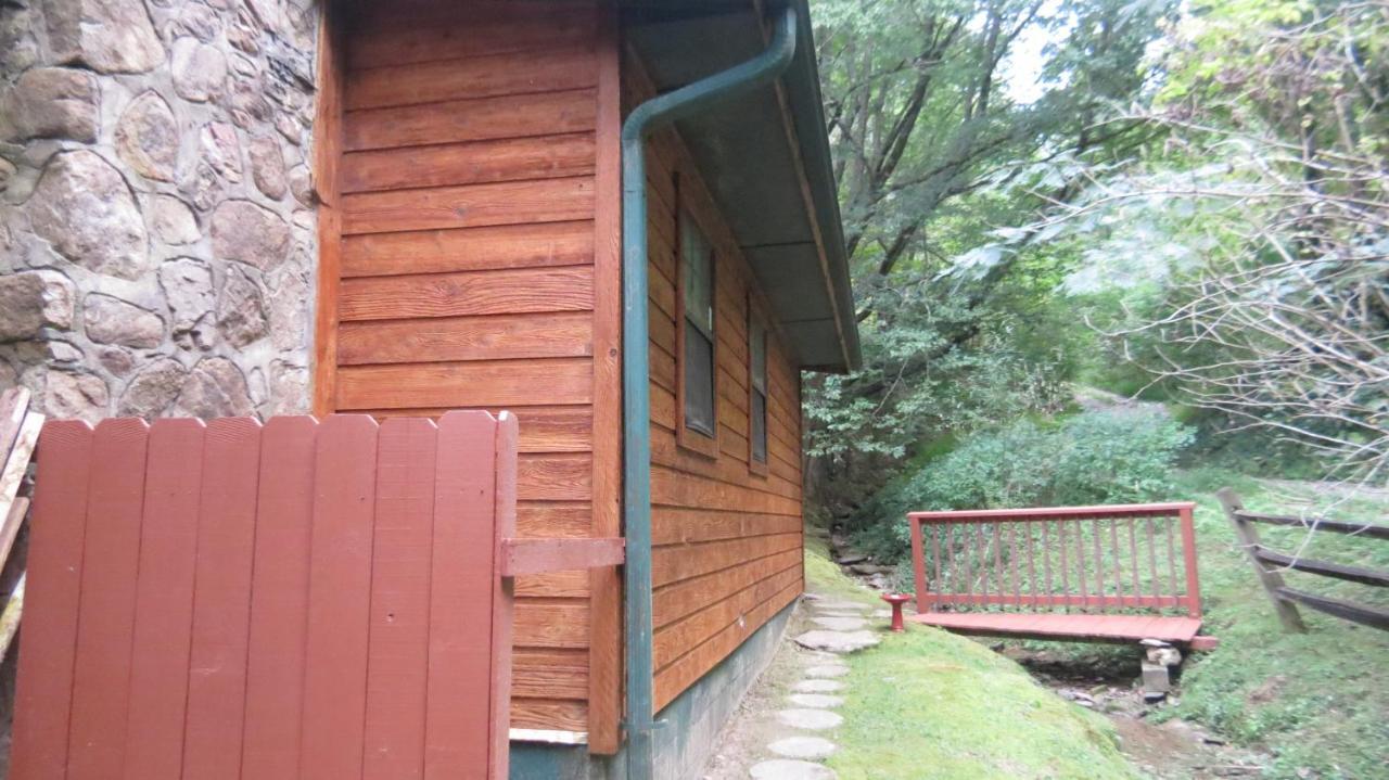 Cozy Creek Cabin 鸽子谷 外观 照片