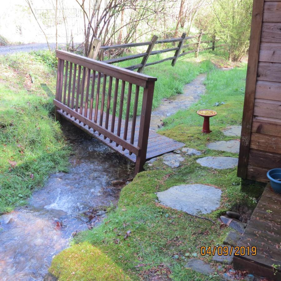 Cozy Creek Cabin 鸽子谷 外观 照片