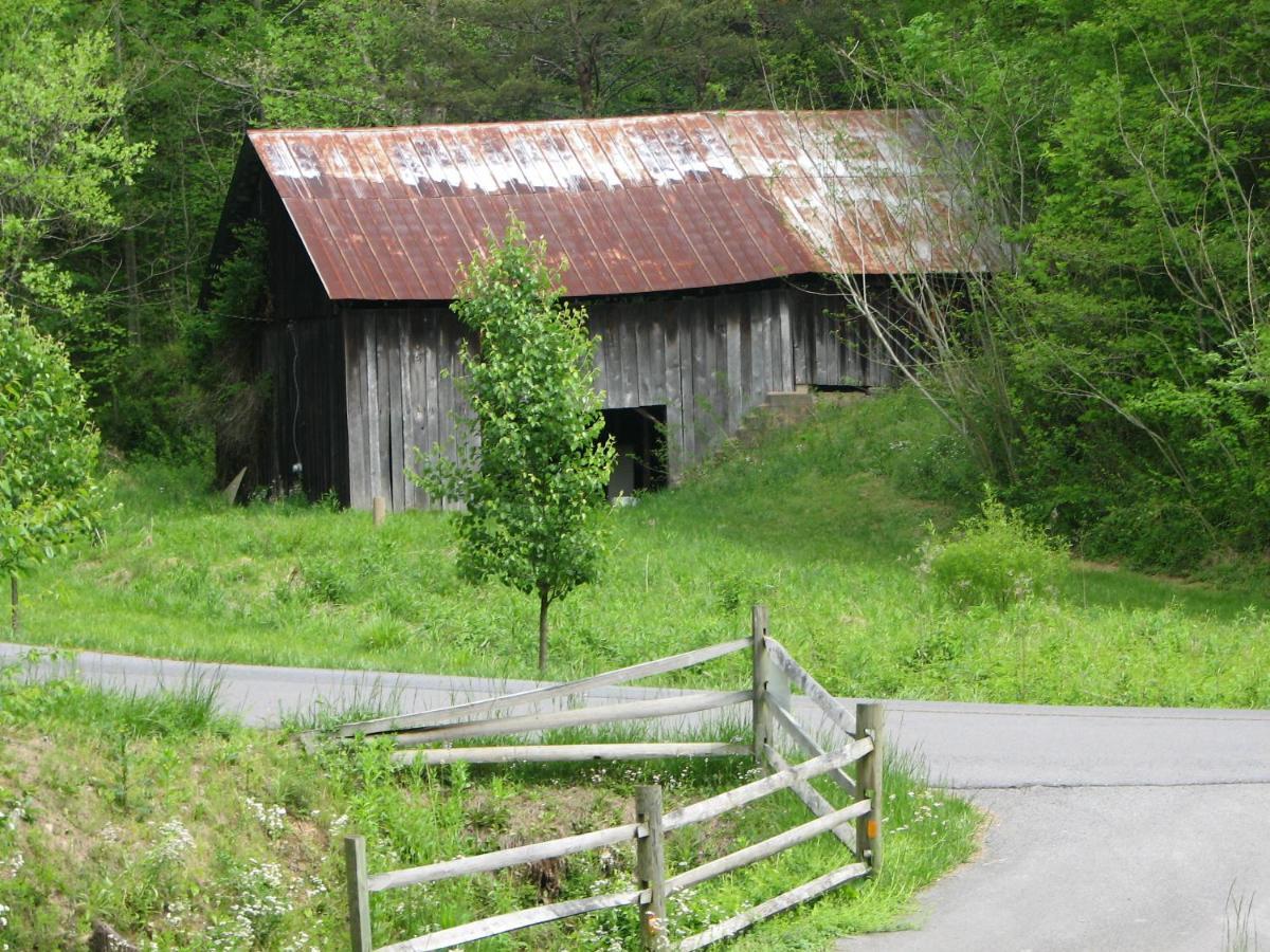Cozy Creek Cabin 鸽子谷 外观 照片